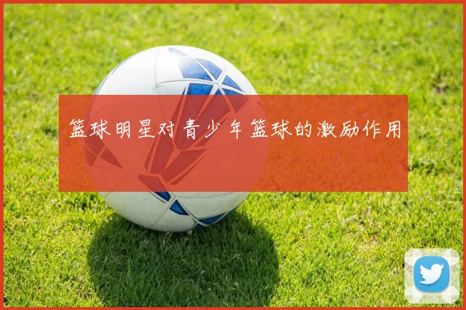 篮球明星对青少年篮球的激励作用